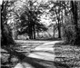 Black and White Walking Trail